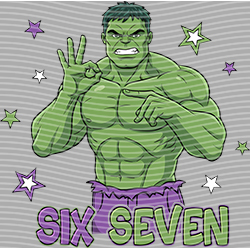 sixty seven-SS 313
